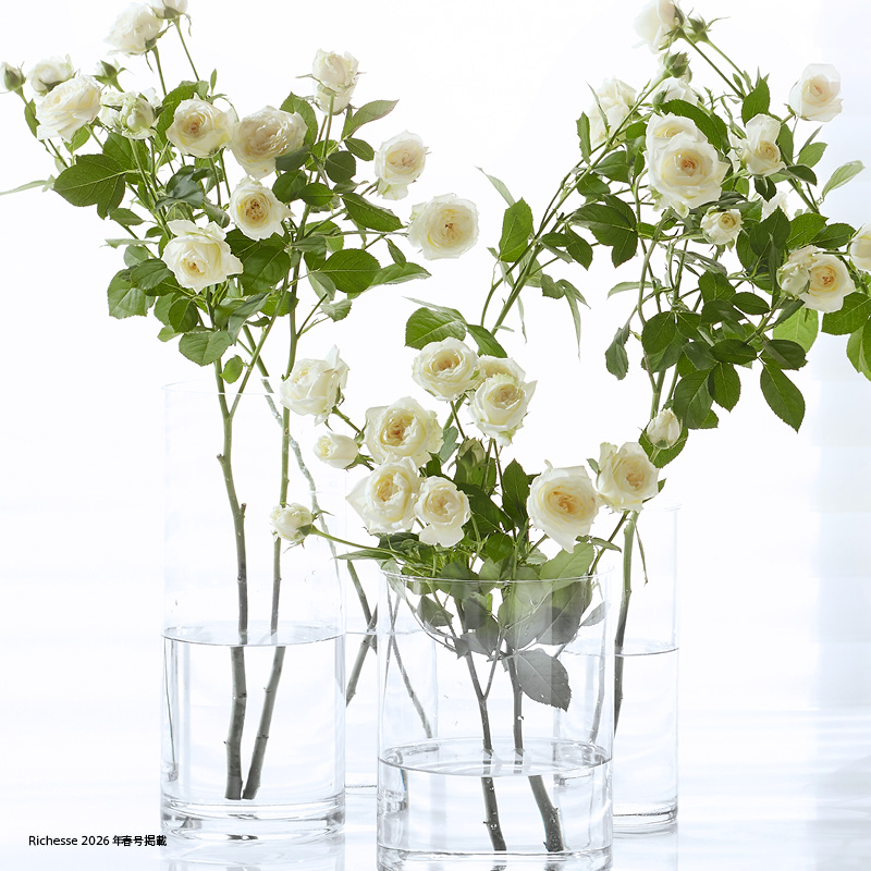 Richesse 2026年春号 掲載情報