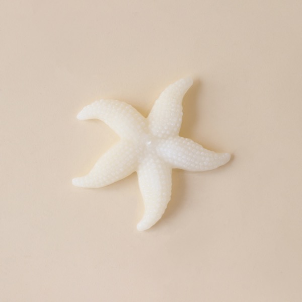 Starfish Candle (White・L)